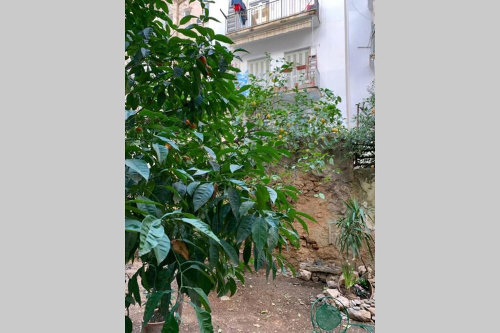 Quiet And Central Flat With Private Backyard Garden Athen Eksteriør bilde