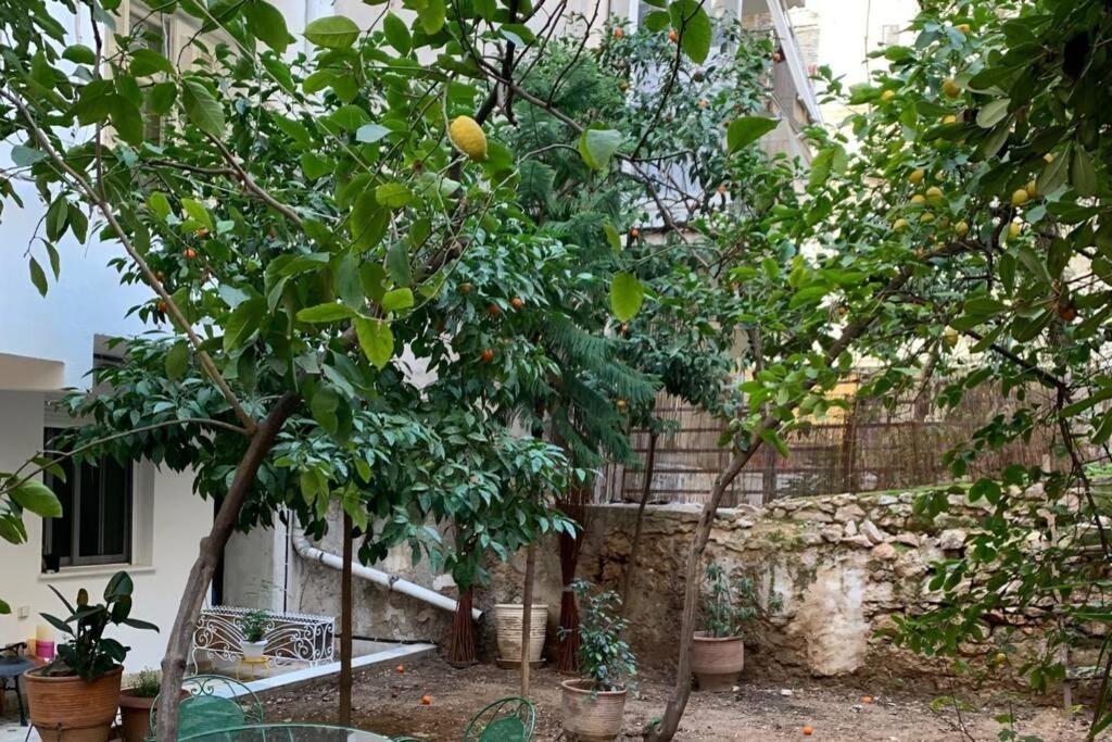Quiet And Central Flat With Private Backyard Garden Athen Eksteriør bilde